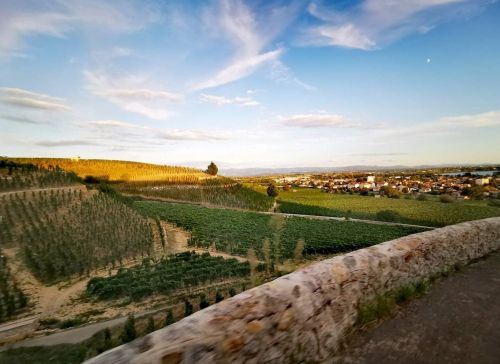 Photos du Voyage VENET : Échappée médiévale en pays albigeois et carcassonnais ( Du 16 au 19 Septembre 2024 )