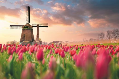 Photos du Voyage VENET : La Hollande des Fleurs et la Belgique ( Du 13 au 19 Avril )