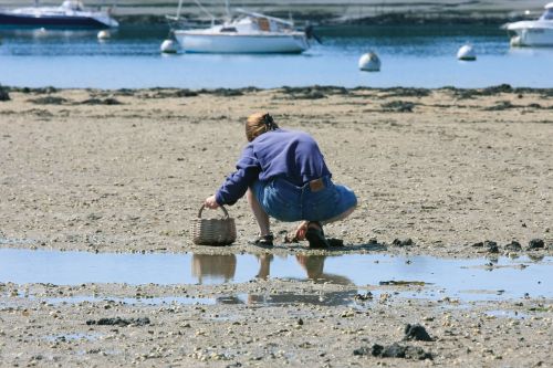 Photos du Voyage VENET : Pâques au Mont St Michel ( Du 18 au 22 Avril )