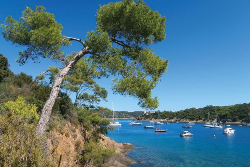 Photos du Voyage VENET : Autour du Golfe de St Tropez ( Du 7 au 12 juin )