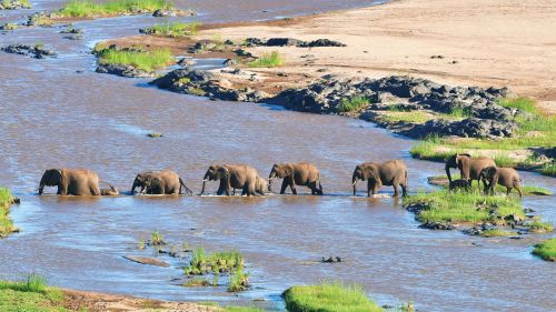 Photos du Voyage VENET : Immersion en Afrique du Sud ( Du 21 au 30 Juin )