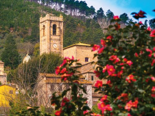 Photos du Voyage VENET : Fête des Camélias en Toscane ( Du 21 au 24 mars 2025 )