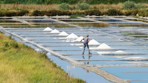 Photos du Voyage VENET : Iles de Vendée : Noirmoutier et Yeu ( Du 26 Mai au 1 Juin 2025 )