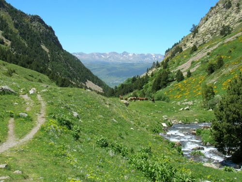 Photos du Voyage VENET : La Cerdagne et les Pyrénées orientales ( Du 25 au 31 Août )