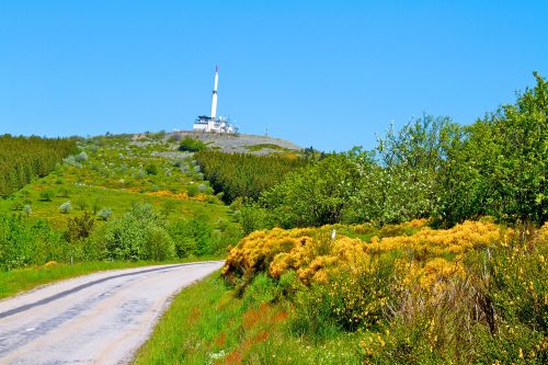 Photos du Voyage VENET : De crêt en crêt dans le Pilat ( Lundi 16 Juin )