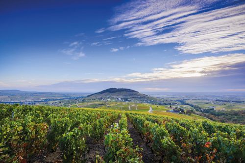 Photos du Voyage VENET : Autour du Mont Brouilly ( Mardi 23 Septembre )