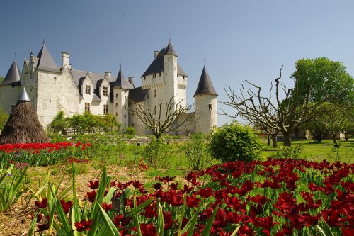 Photos du Voyage VENET : Festivals d’été en Touraine  ( Du 31 Juillet au 3 Août )