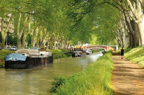 Photos du Voyage VENET : Balade en Midi toulousain ( Du 23 au 27 Juin )