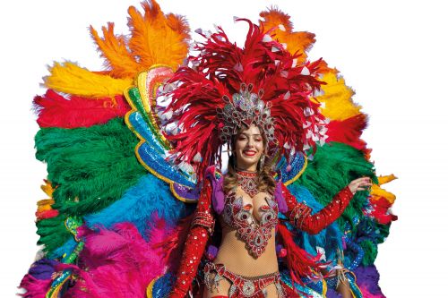 Photos du Voyage VENET : Carnaval de Nice et fête des citrons à Menton ( Du 21 au 23 février 2026 )