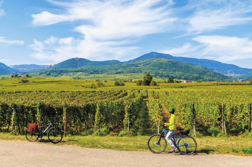 Photos du Voyage VENET : La véloroute du vignoble d'Alsace ( Du 31 Mai au 3 Juin )