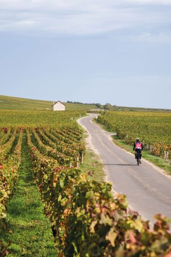Photos du Voyage VENET : La voie des vignes : De Beaune à Dijon ( Mardi 11 Juillet  )